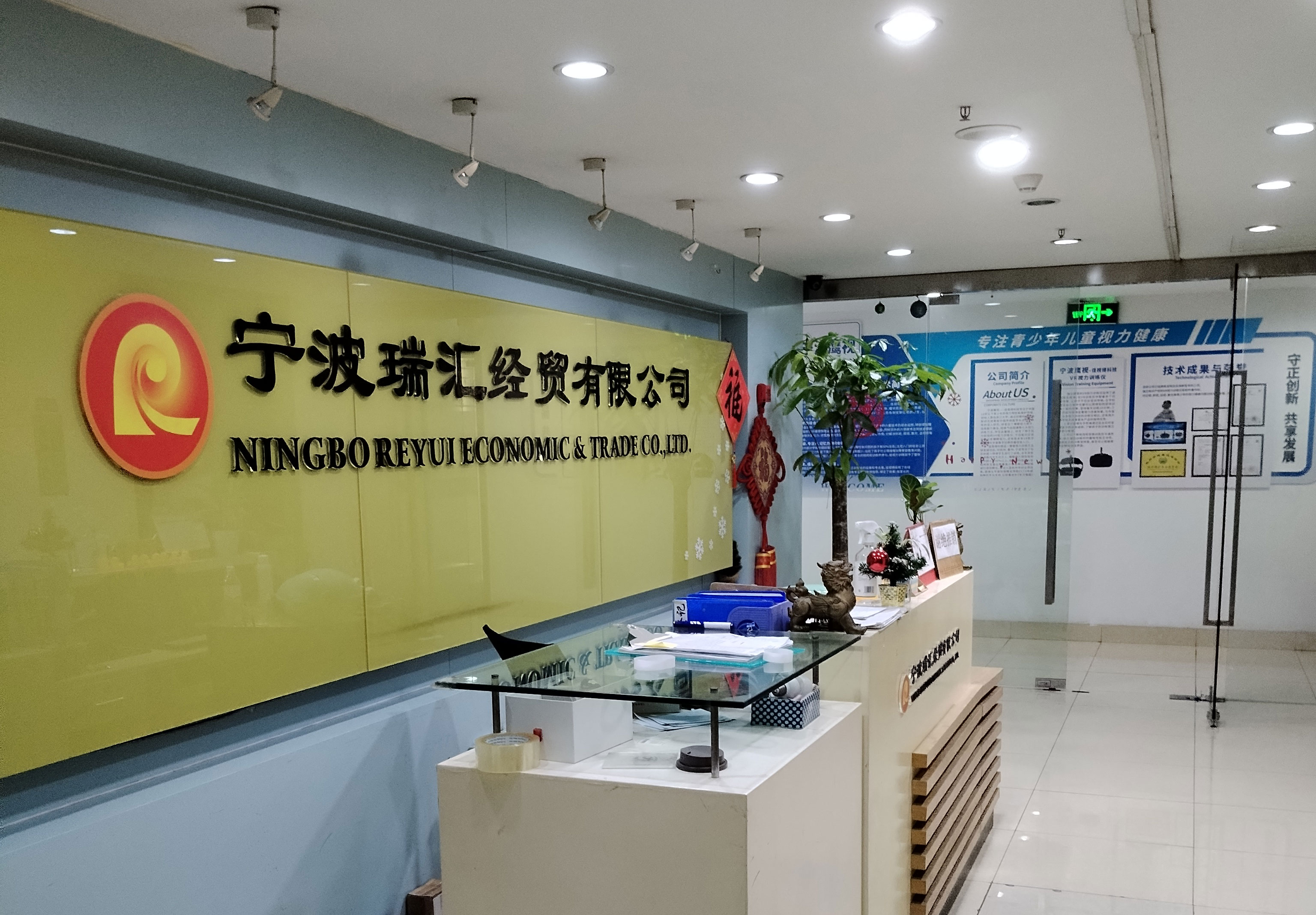 25CM Double Point Stainless Steel Knitting Needle